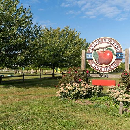 Large Modern North Fork Barn:Vineyards In Backyard, Harbes Farms Villa Mattituck Eksteriør bilde
